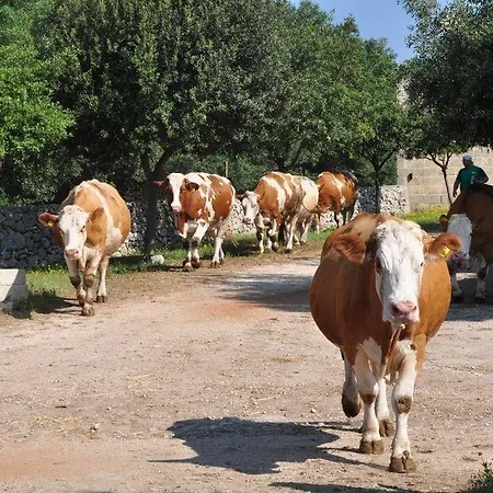 Szálloda Sanlu Serrano